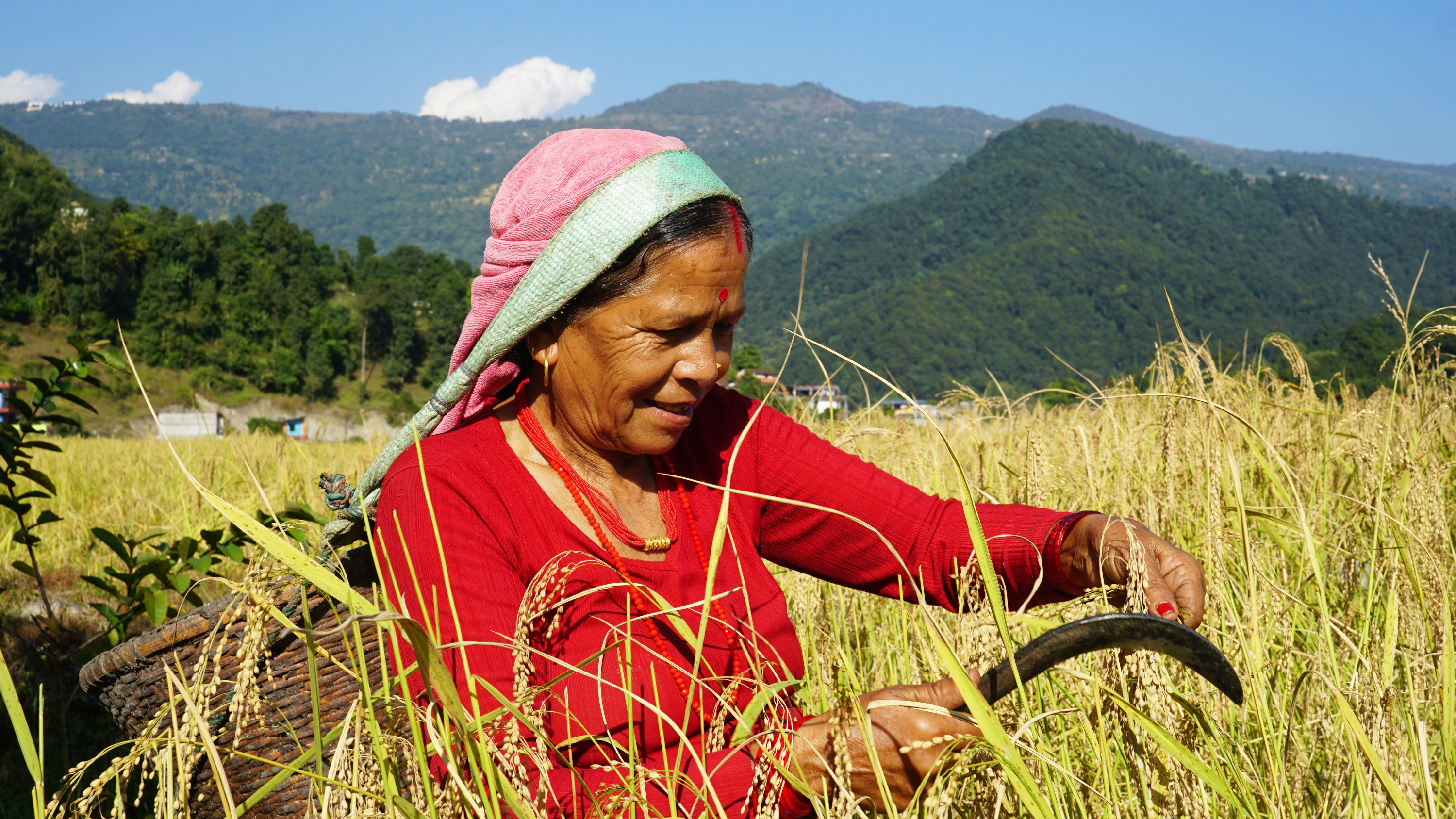 Pokhara 23 (1).JPG